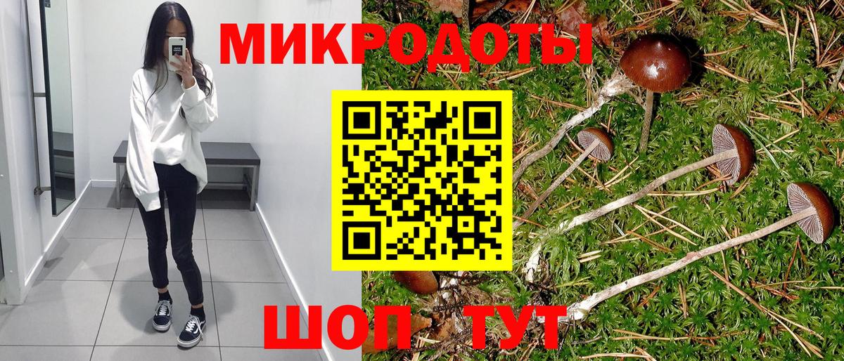 Псилоцибиновые грибы мухоморы Ростов Великий