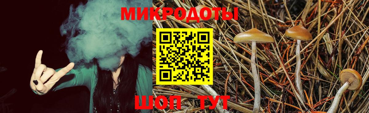 Ростов Великий  Псилоцибиновые грибы Psilocybe  Вход с VPN 